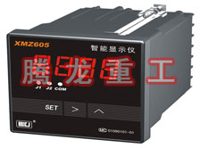 溫度表、數(shù)字顯示儀、濕度表